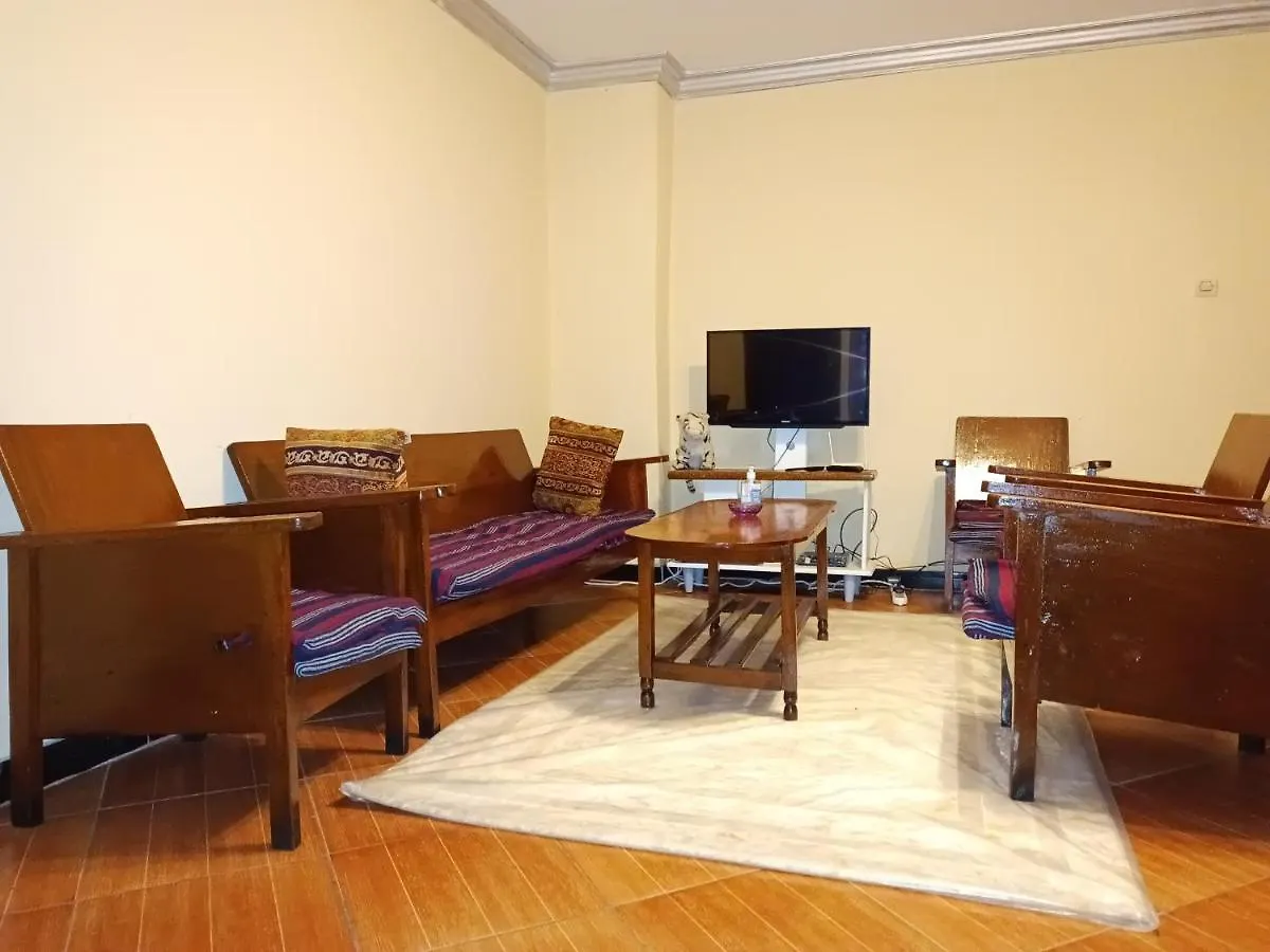 Apartment Fully Furnished Condo In The Center Of Addis Ababa