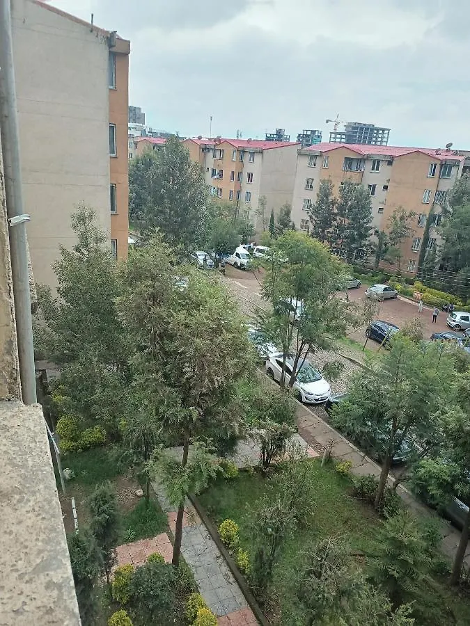 Fully Furnished Condo In The Center Of Addis Ababa Apartment